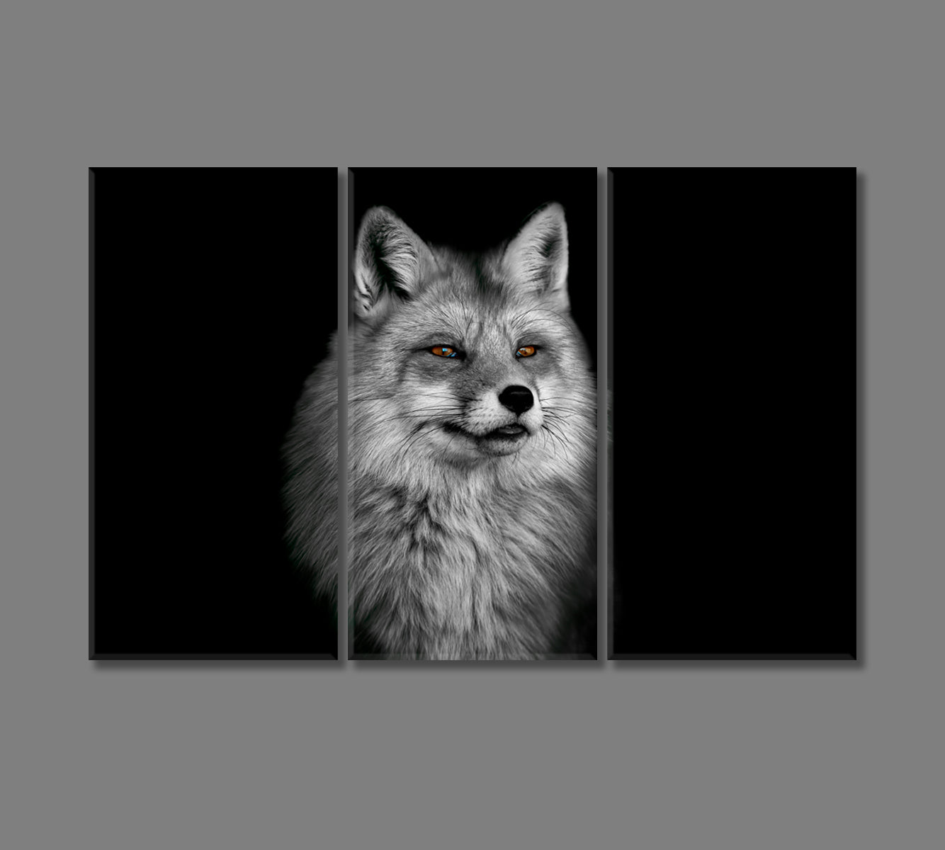 Beautiful Fox Portrait in Black and White Canvas Print-Canvas Print-CetArt-3 Panels-36x24 inches-CetArt