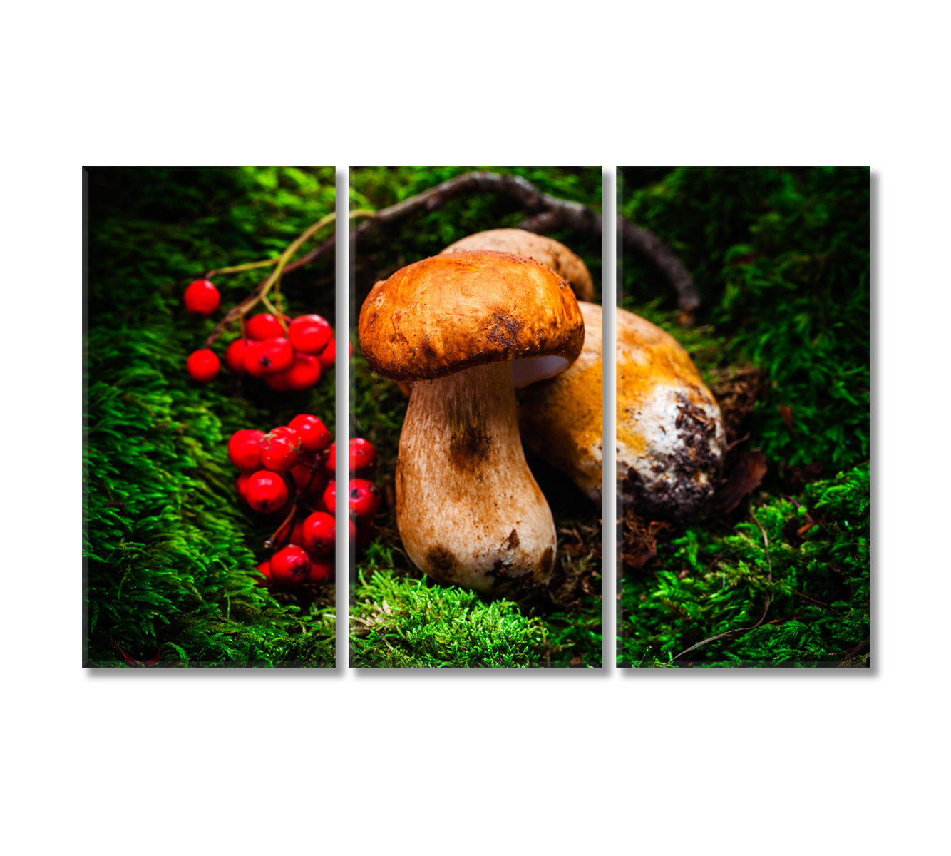 Porcini Mushrooms Canvas Print-Canvas Print-CetArt-3 Panels-36x24 inches-CetArt