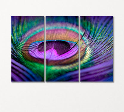 Multicolored Peacock Feather Canvas Print-Canvas Print-CetArt-3 Panels-36x24 inches-CetArt