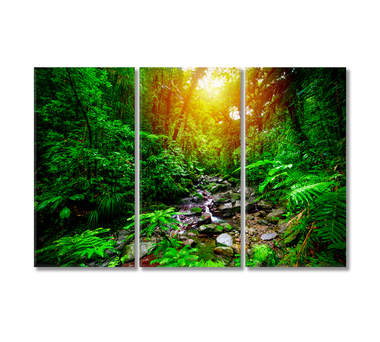 Guadeloupe National Park Canvas Print-Canvas Print-CetArt-3 Panels-36x24 inches-CetArt