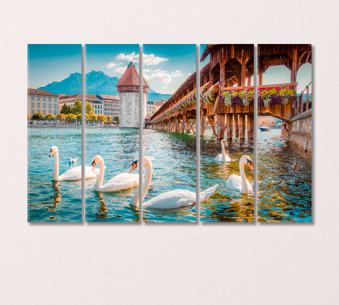 White Swans in River Royce Lucerne Switzerland Canvas Print-Canvas Print-CetArt-5 Panels-36x24 inches-CetArt