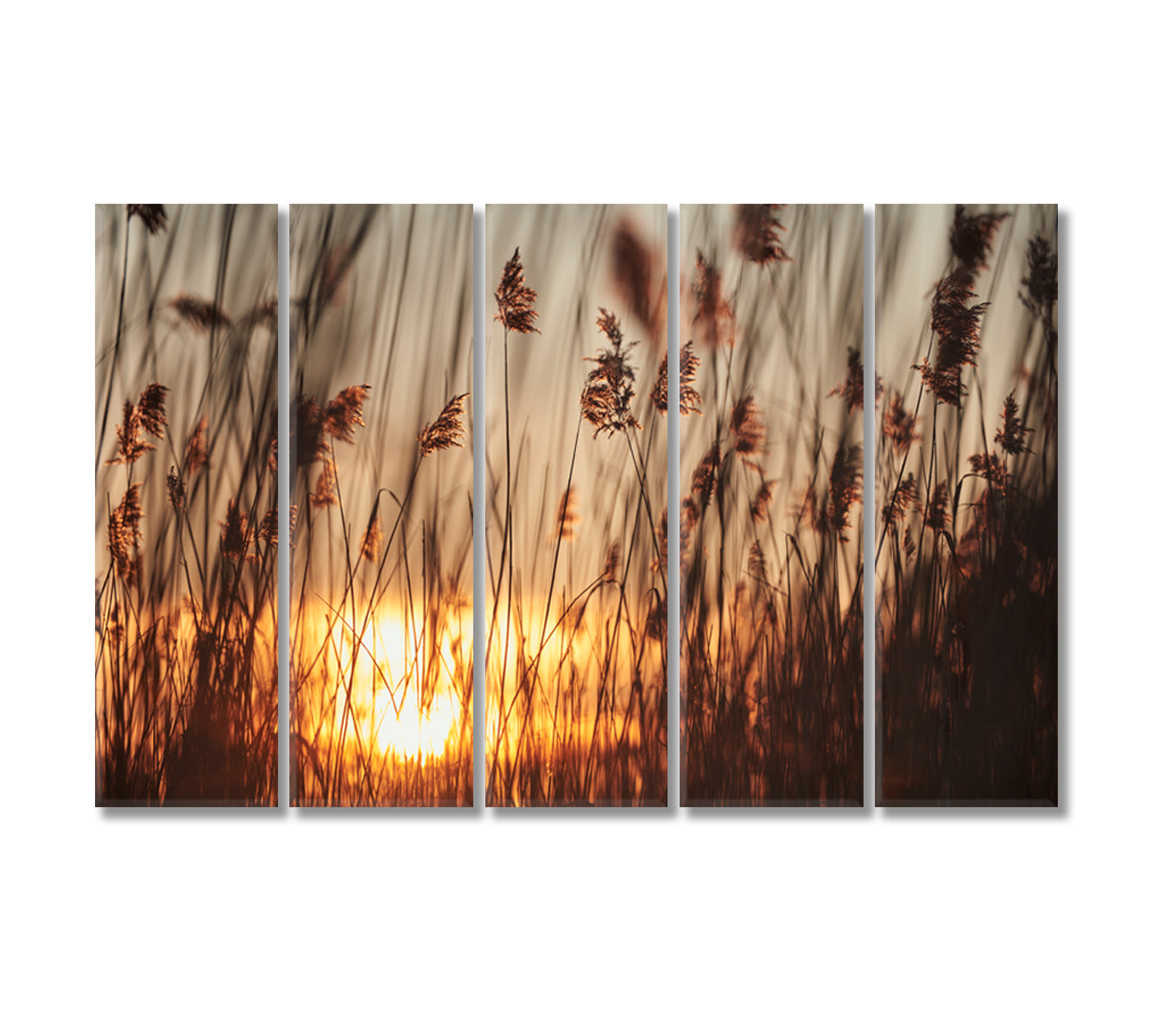 Reeds in Rays of Sun Canvas Print-Canvas Print-CetArt-5 Panels-36x24 inches-CetArt