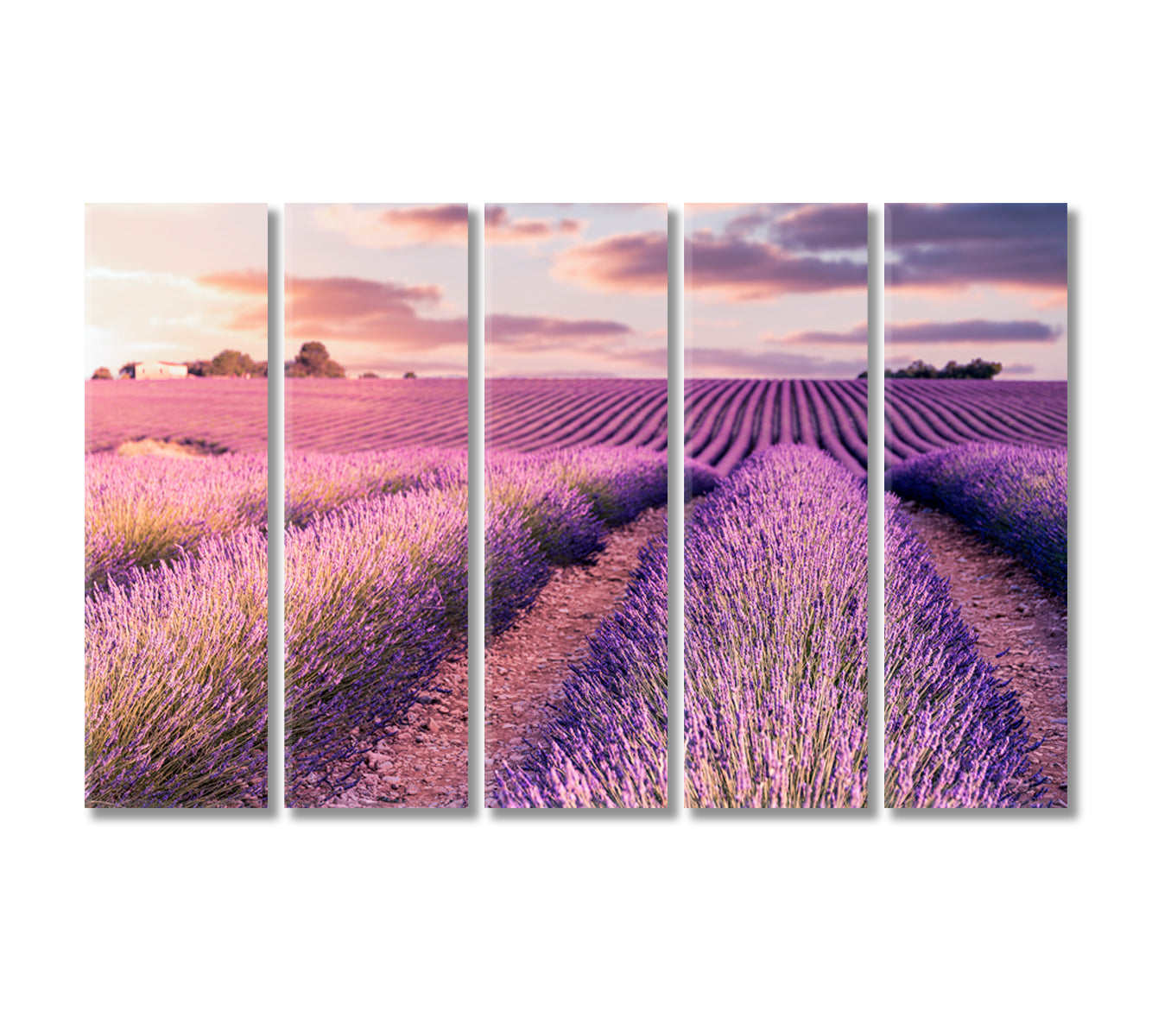 Provence Lavender Field at Sunrise France Canvas Print-Canvas Print-CetArt-5 Panels-36x24 inches-CetArt