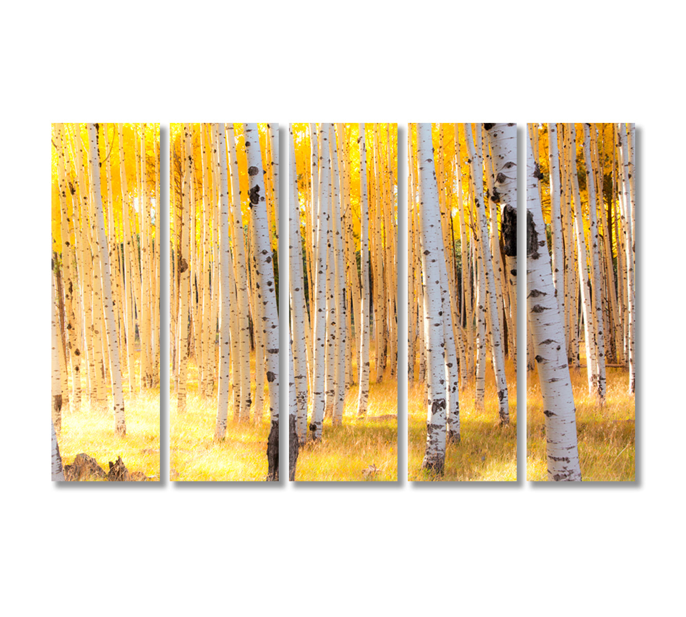 Aspen Trees in Autumn Flagstaff Arizona Canvas Print-Canvas Print-CetArt-5 Panels-36x24 inches-CetArt