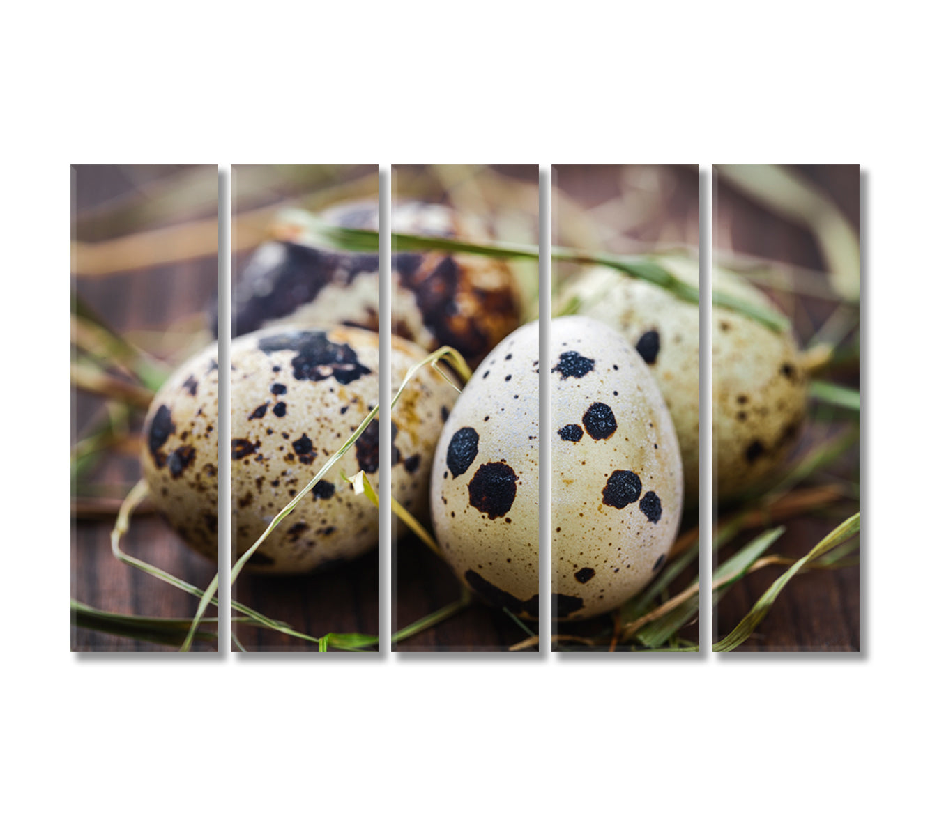 Quail Eggs Canvas Print-Canvas Print-CetArt-5 Panels-36x24 inches-CetArt