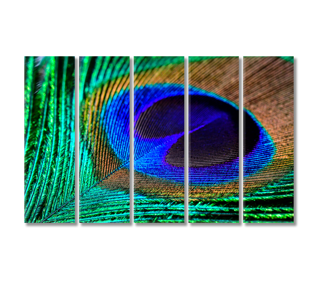 Colorful Peacock Feather Canvas Print-Canvas Print-CetArt-5 Panels-36x24 inches-CetArt