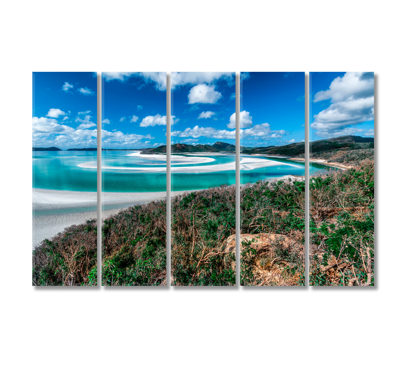 Australia Queensland Whitsunday Island Whitehaven Beach Canvas Print-Canvas Print-CetArt-5 Panels-36x24 inches-CetArt