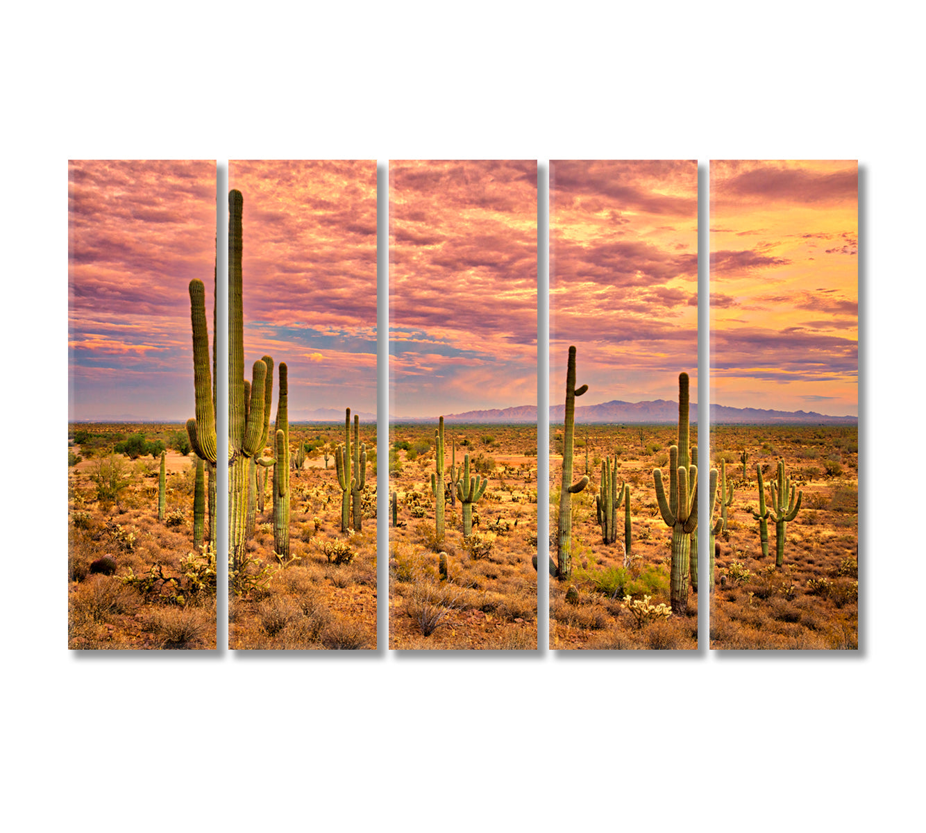 Sonoran Desert Mexico Canvas Print-Canvas Print-CetArt-5 Panels-36x24 inches-CetArt