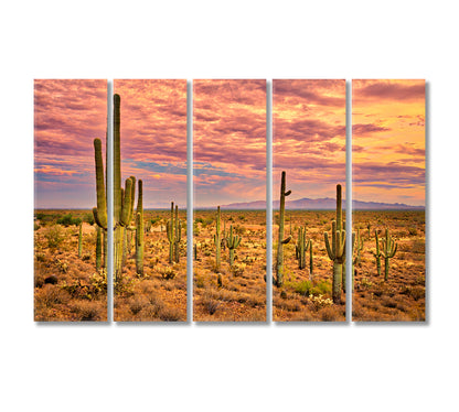 Sonoran Desert Mexico Canvas Print-Canvas Print-CetArt-5 Panels-36x24 inches-CetArt