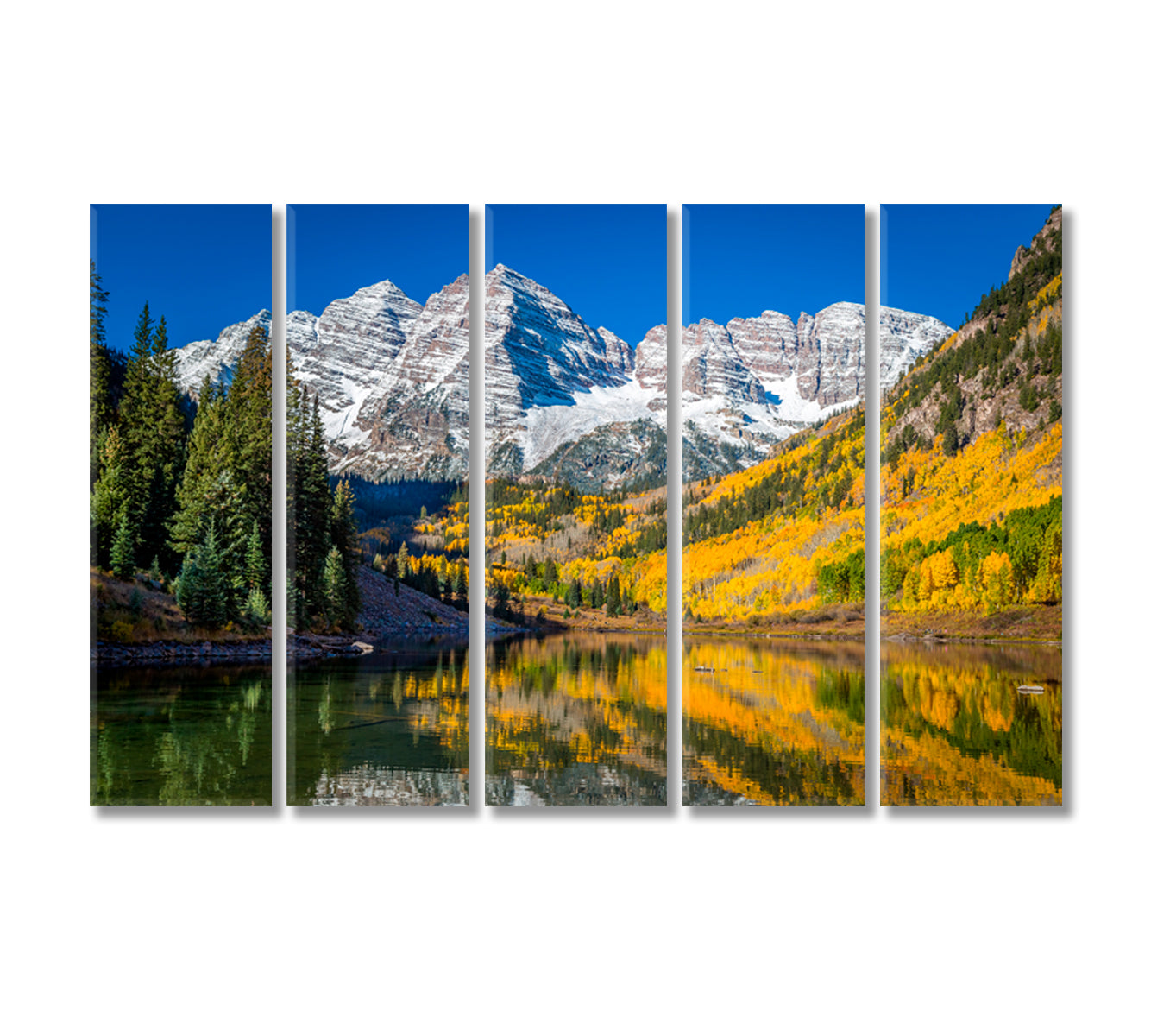 Maroon Bells Surrounded in Autumn Canvas Print-Canvas Print-CetArt-5 Panels-36x24 inches-CetArt