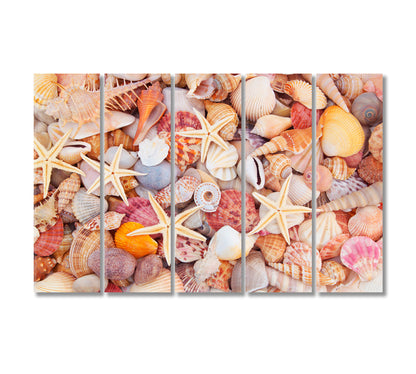 Starfish Seashells and Corals Canvas Print-Canvas Print-CetArt-5 Panels-36x24 inches-CetArt