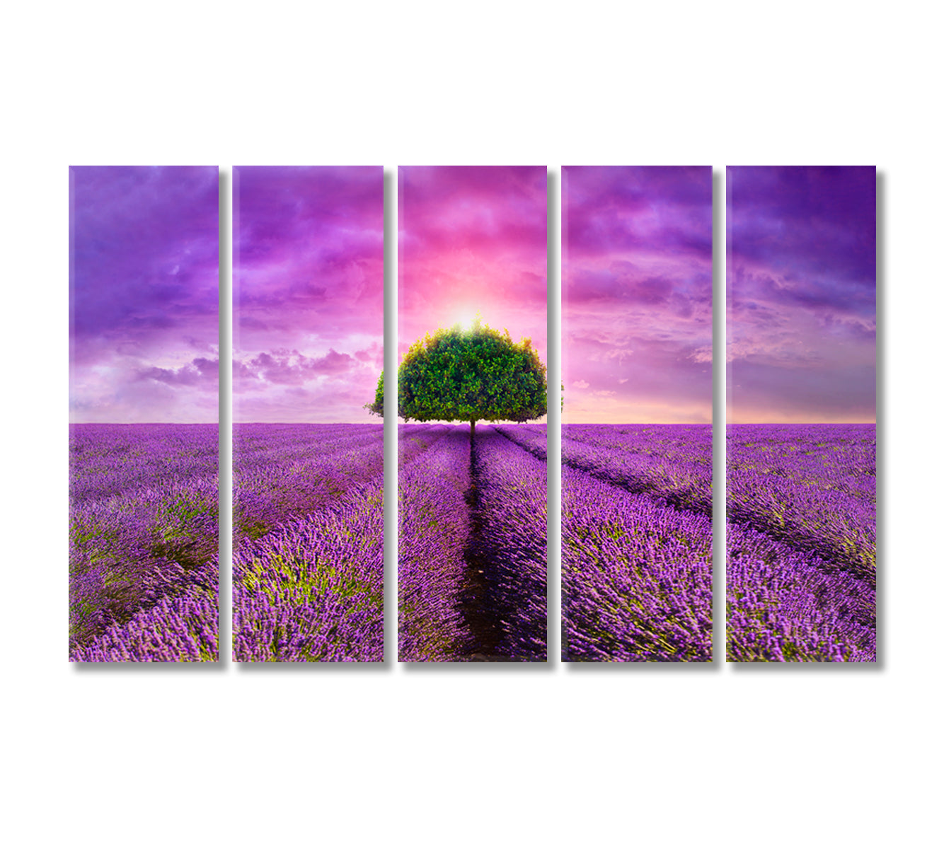 Lonely Tree in Beautiful Lavender Field Provence Canvas Print-Canvas Print-CetArt-5 Panels-36x24 inches-CetArt