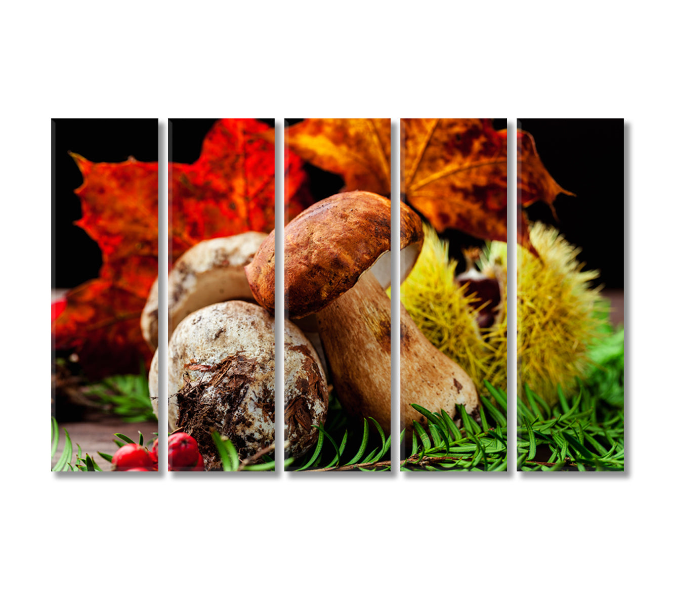 Porcini Mushroom in Autumn Foliage Canvas Print-Canvas Print-CetArt-5 Panels-36x24 inches-CetArt