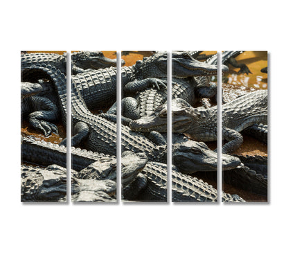 Alligators Canvas Print-Canvas Print-CetArt-5 Panels-36x24 inches-CetArt