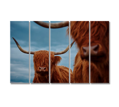 Portrait Of A Highland Cow Canvas Print-Canvas Print-CetArt-5 Panels-36x24 inches-CetArt
