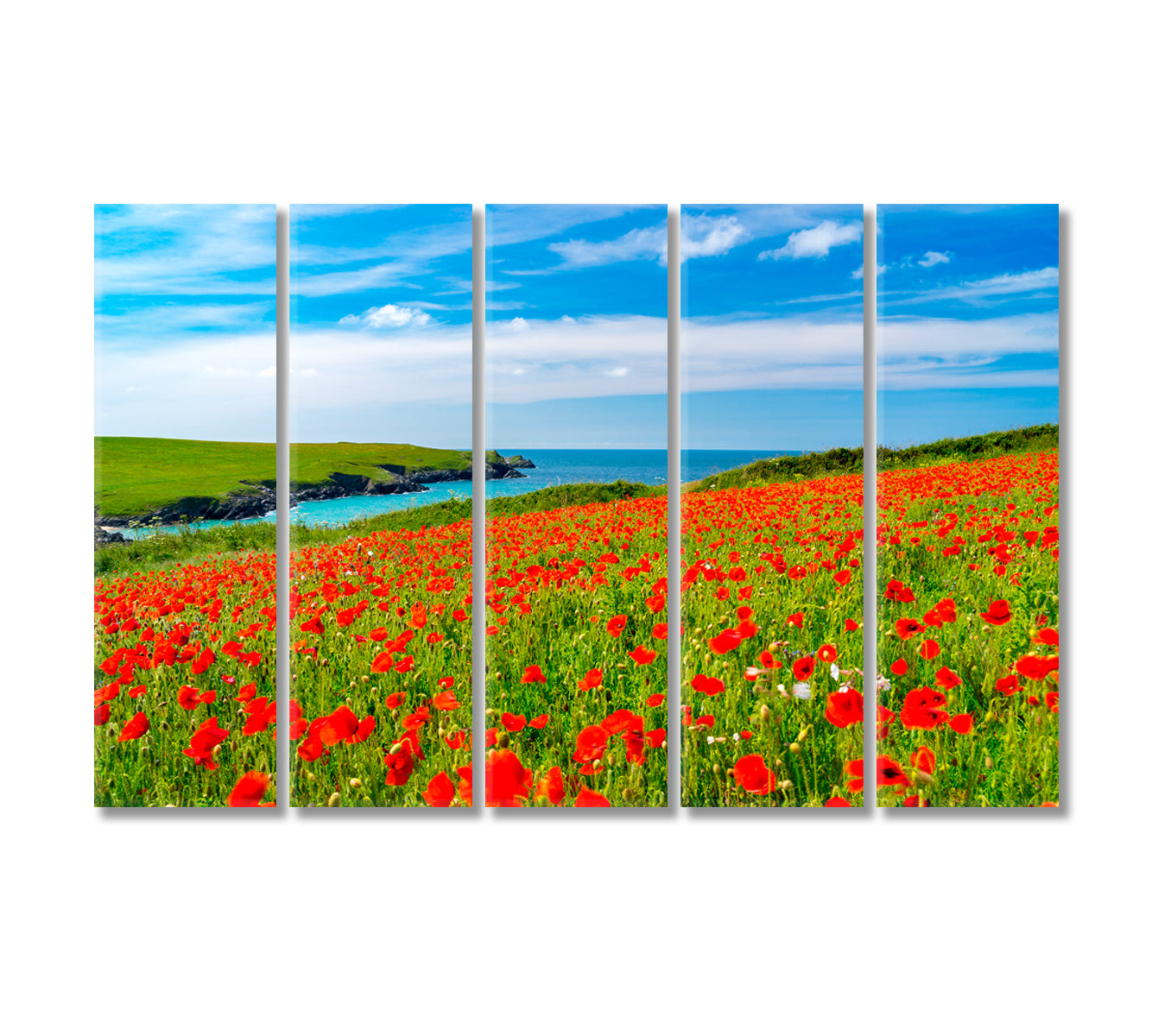 Wildflowers Field with Poppies Canvas Print-Canvas Print-CetArt-5 Panels-36x24 inches-CetArt