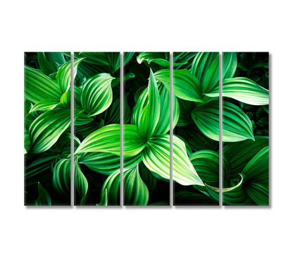 Leaves of Green Plants Canvas Print-Canvas Print-CetArt-5 Panels-36x24 inches-CetArt