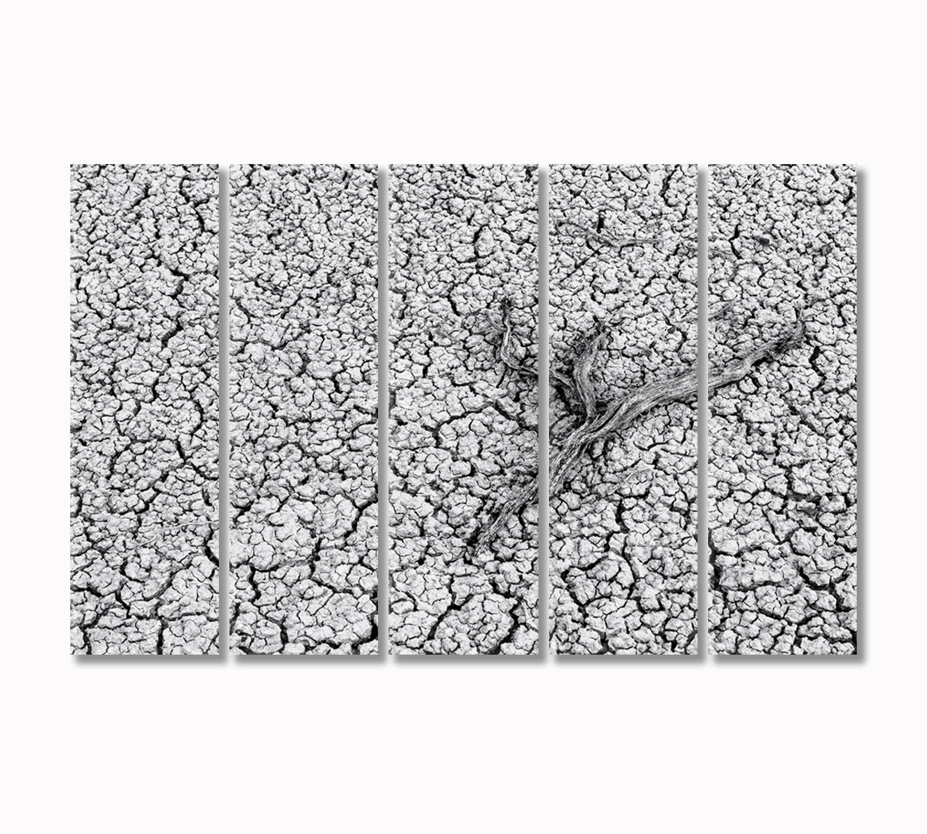 Dry Branch on Cracked Ground Canvas Print-Canvas Print-CetArt-5 Panels-36x24 inches-CetArt
