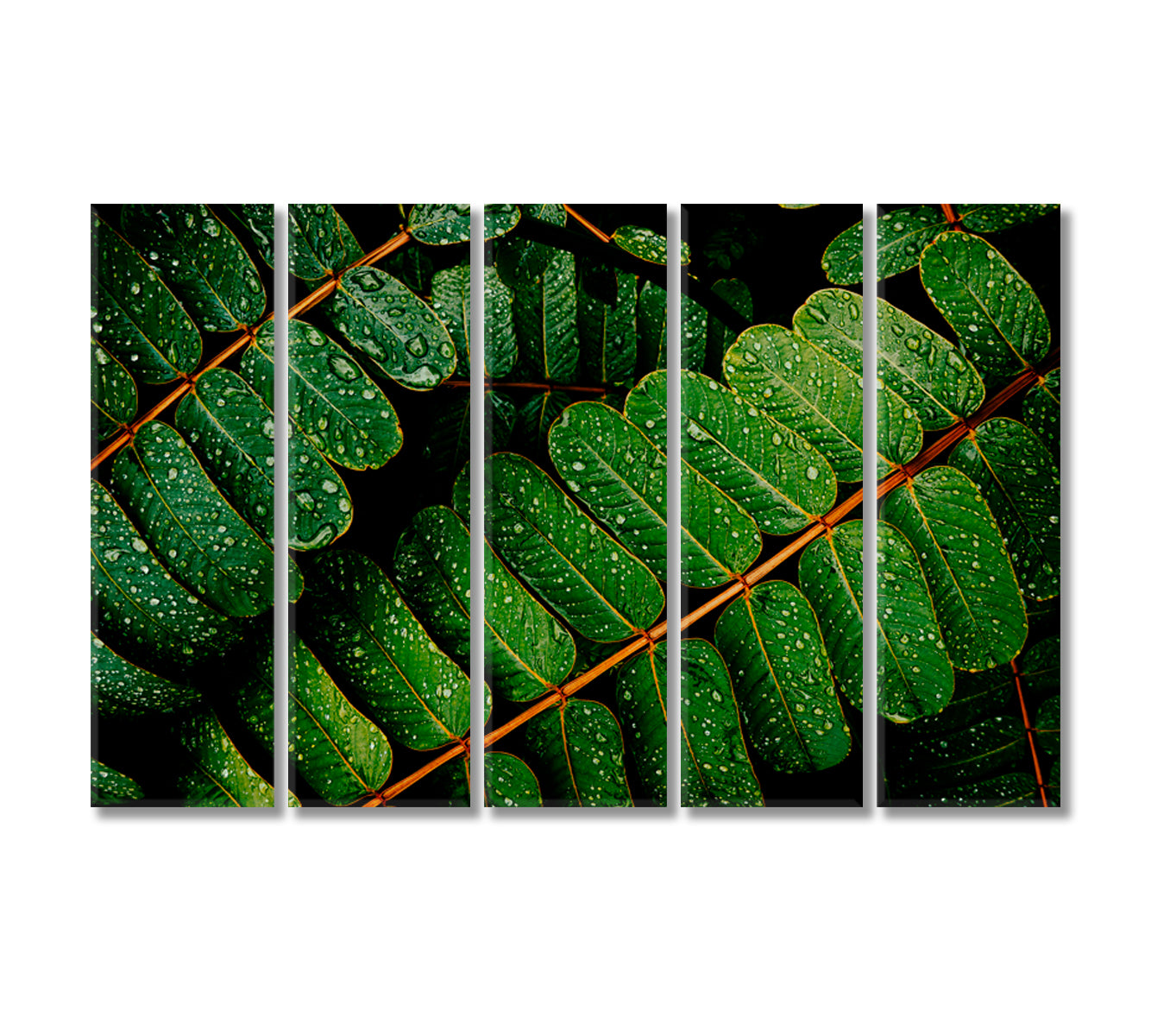 Green Leaves with Water Drops Canvas Print-Canvas Print-CetArt-5 Panels-36x24 inches-CetArt