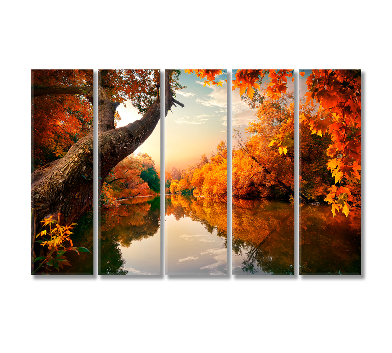 Amazing Autumn on River in Forest Canvas Print-Canvas Print-CetArt-5 Panels-36x24 inches-CetArt