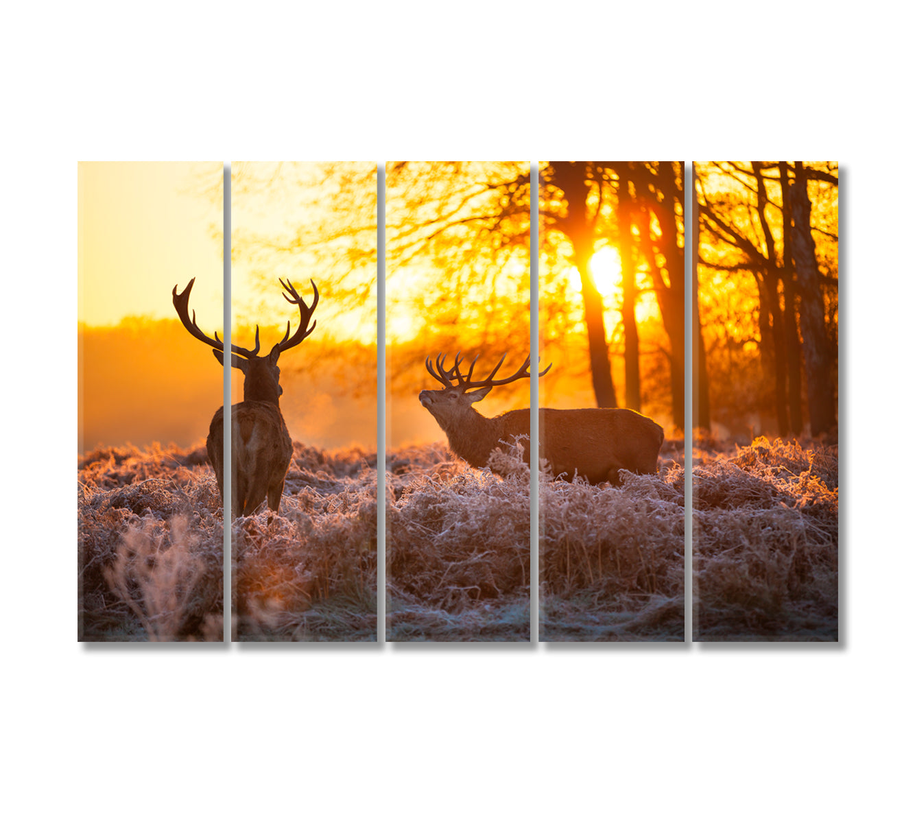 Red Deer in Forest Canvas Print-Canvas Print-CetArt-5 Panels-36x24 inches-CetArt