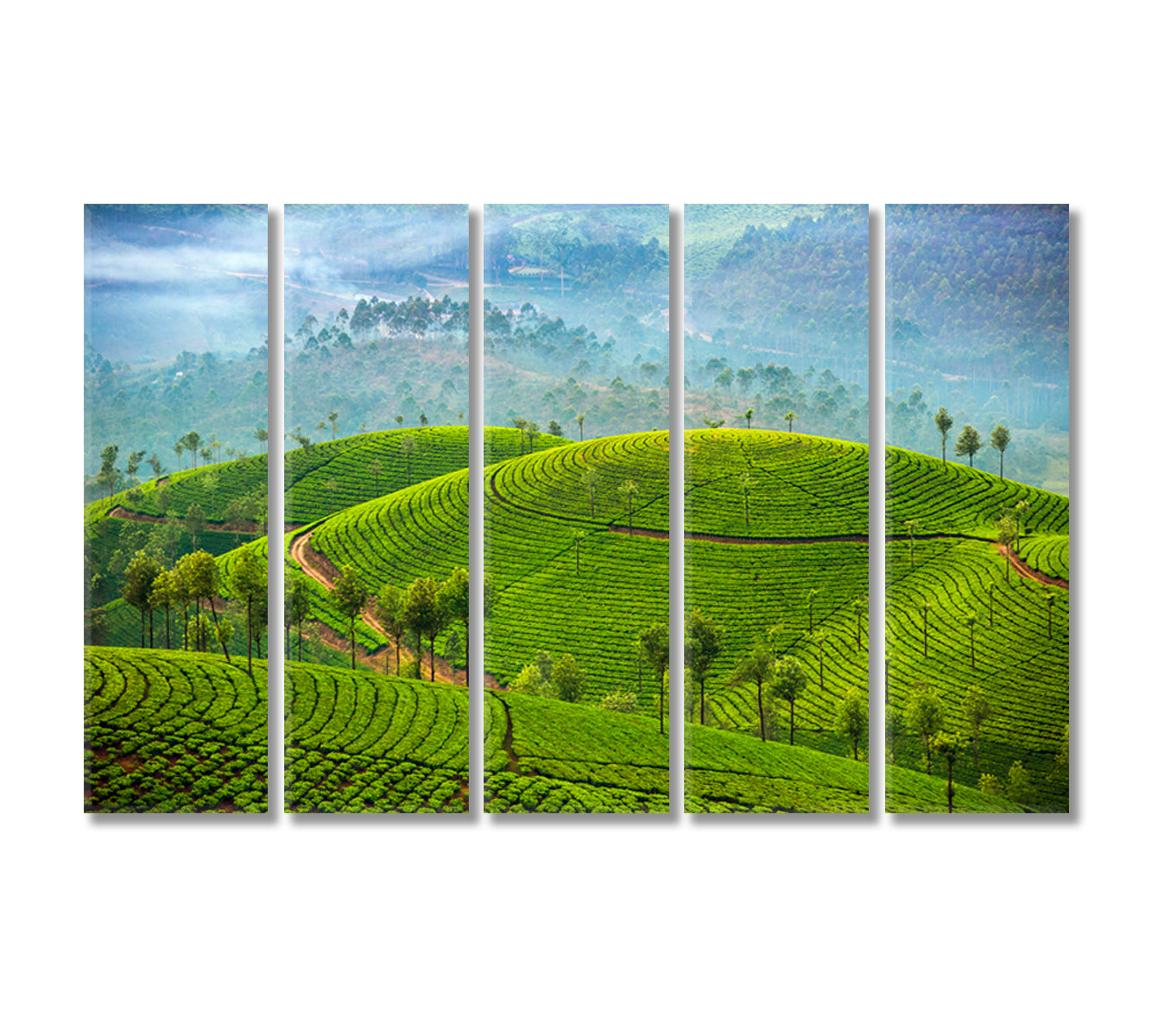 Tea Plantations in Munnar India Canvas Print-Canvas Print-CetArt-5 Panels-36x24 inches-CetArt
