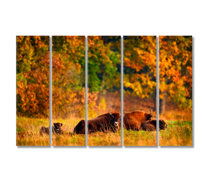 Bison Family in Autumn Forest Canvas Print-Canvas Print-CetArt-5 Panels-36x24 inches-CetArt