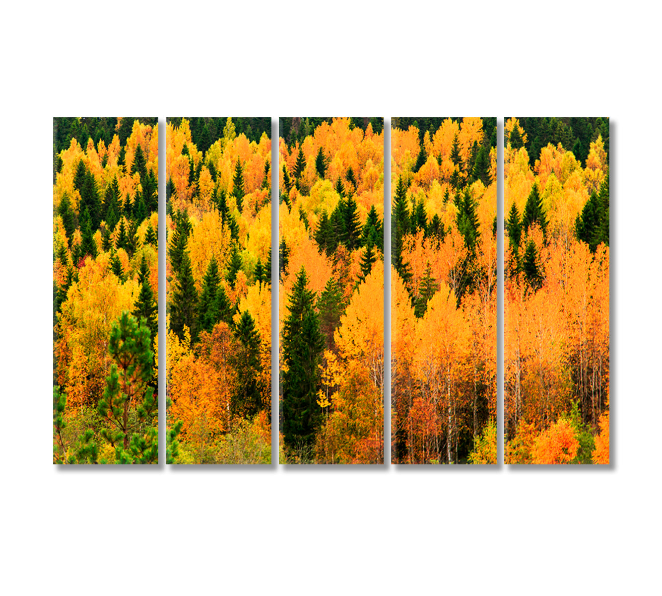 Autumn Forest with Yellow and Green Trees Canvas Print-Canvas Print-CetArt-5 Panels-36x24 inches-CetArt