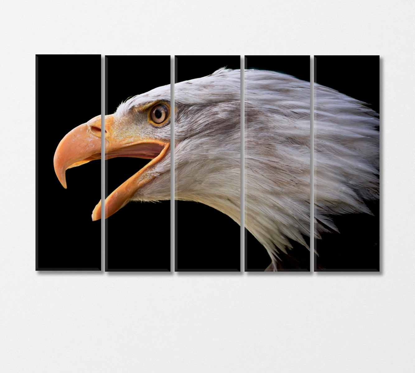 Portrait of Bald Eagle Canvas Print-Canvas Print-CetArt-5 Panels-36x24 inches-CetArt