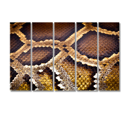 Python Snake Canvas Print-Canvas Print-CetArt-5 Panels-36x24 inches-CetArt