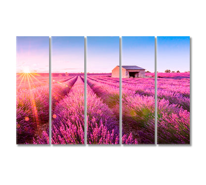 Valensole Lavender Fields on Summer Day Provence France Canvas Print-Canvas Print-CetArt-5 Panels-36x24 inches-CetArt