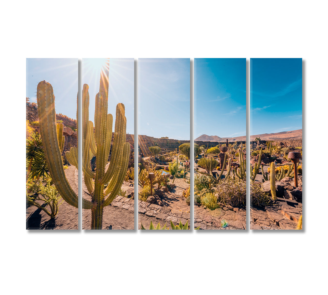 Cactus Garden Lanzarote Canary Islands Spain Canvas Print-Canvas Print-CetArt-5 Panels-36x24 inches-CetArt