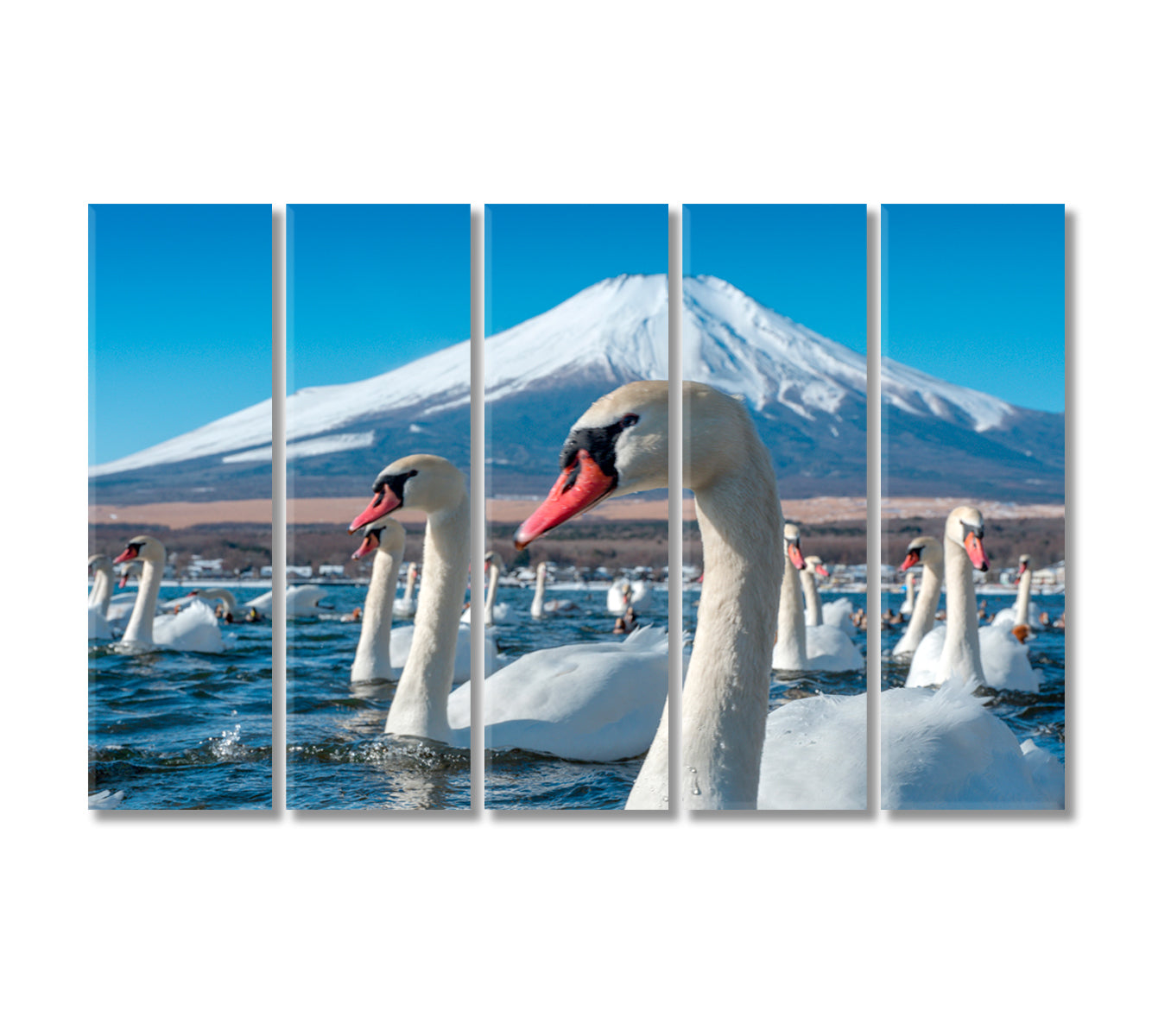 Mount Fuji with Swans at Lake Yamanaka Japan Canvas Print-Canvas Print-CetArt-5 Panels-36x24 inches-CetArt