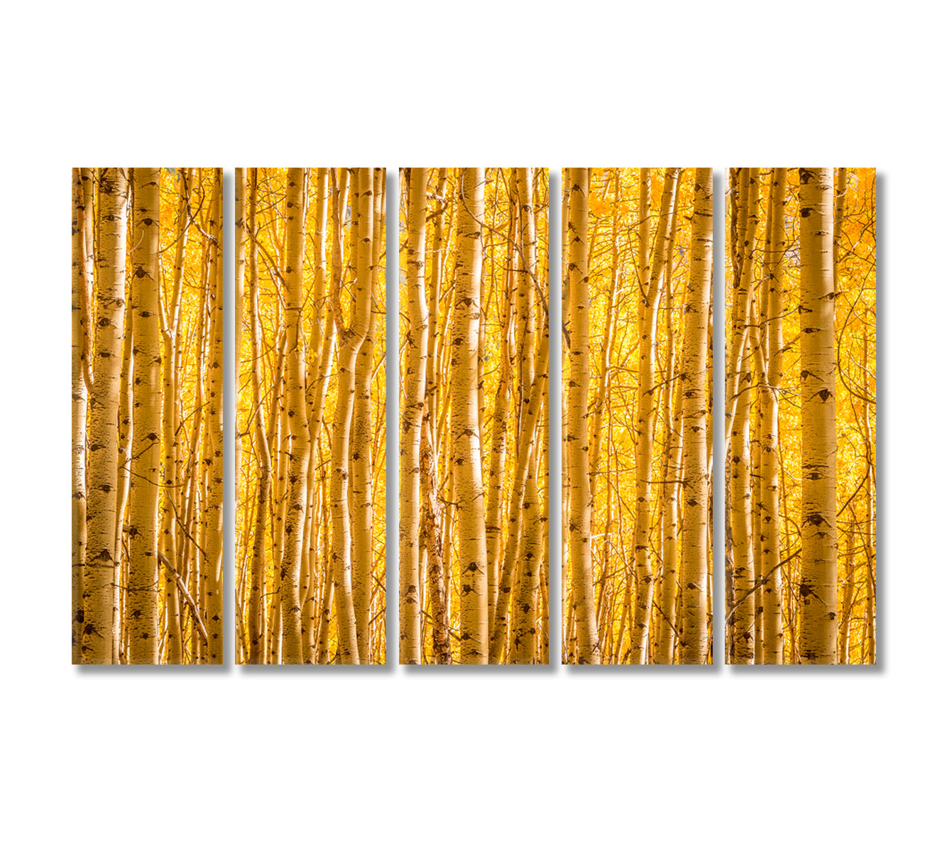 Autumn Yellow Aspen Trees in Uncompahgre National Forest Colorado Canvas Print-Canvas Print-CetArt-5 Panels-36x24 inches-CetArt