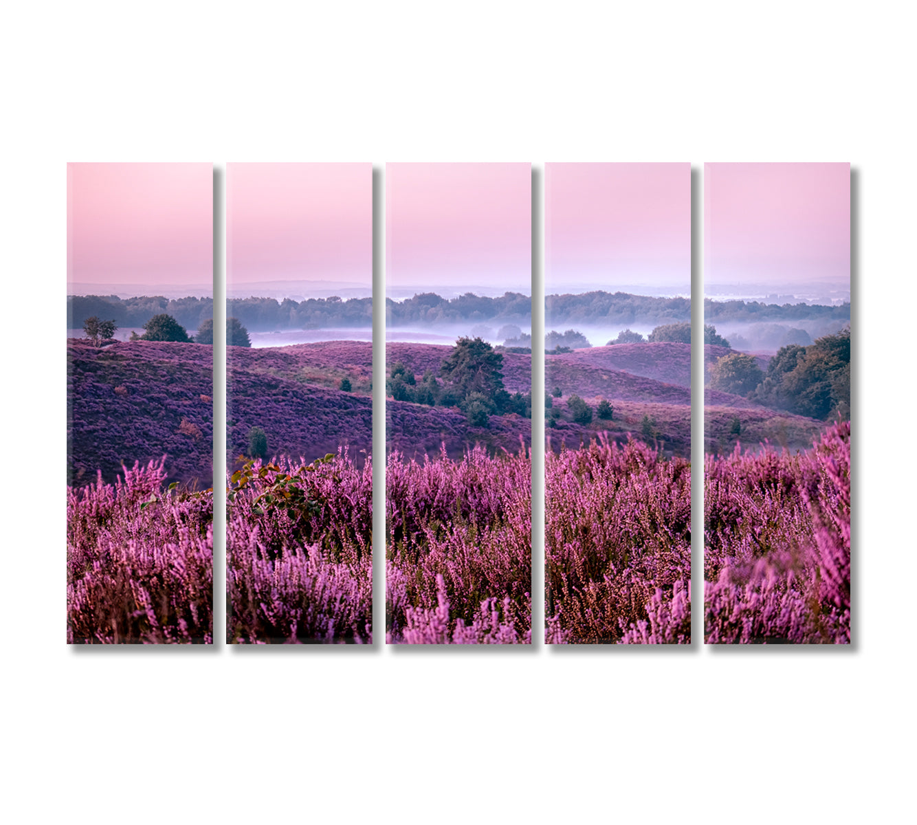 Blooming Heather Fields in Posbank National Park Canvas Print-Canvas Print-CetArt-5 Panels-36x24 inches-CetArt