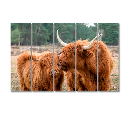 Beautiful Highland Cow Cattle with Calf Canvas Print-Canvas Print-CetArt-5 Panels-36x24 inches-CetArt