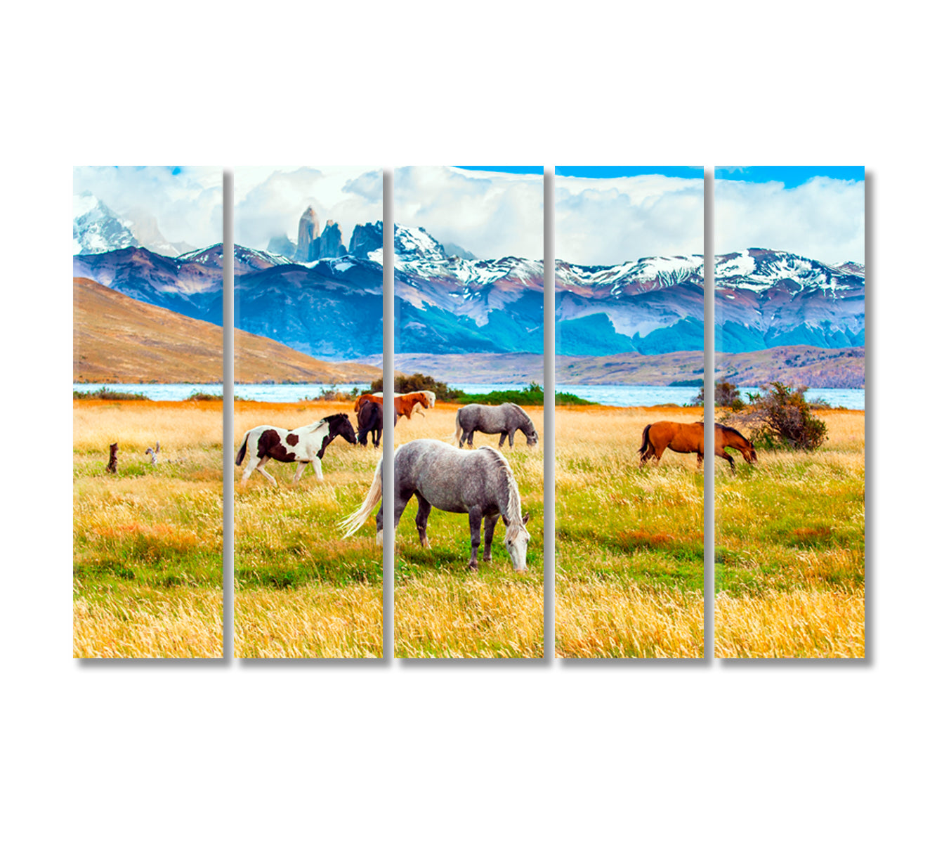 Herd of Wild Horses in Torres del Paine Park in Chile Canvas Print-Canvas Print-CetArt-5 Panels-36x24 inches-CetArt