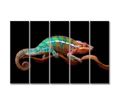 Panther Chameleon Canvas Print-Canvas Print-CetArt-5 Panels-36x24 inches-CetArt