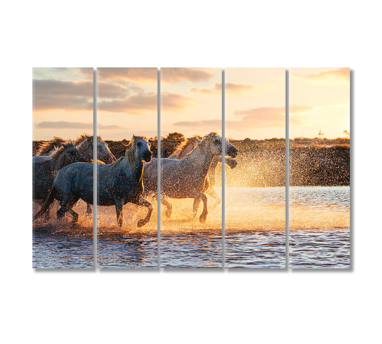 Wild White Horses of Camargue Running on Water Canvas Print-Canvas Print-CetArt-5 Panels-36x24 inches-CetArt