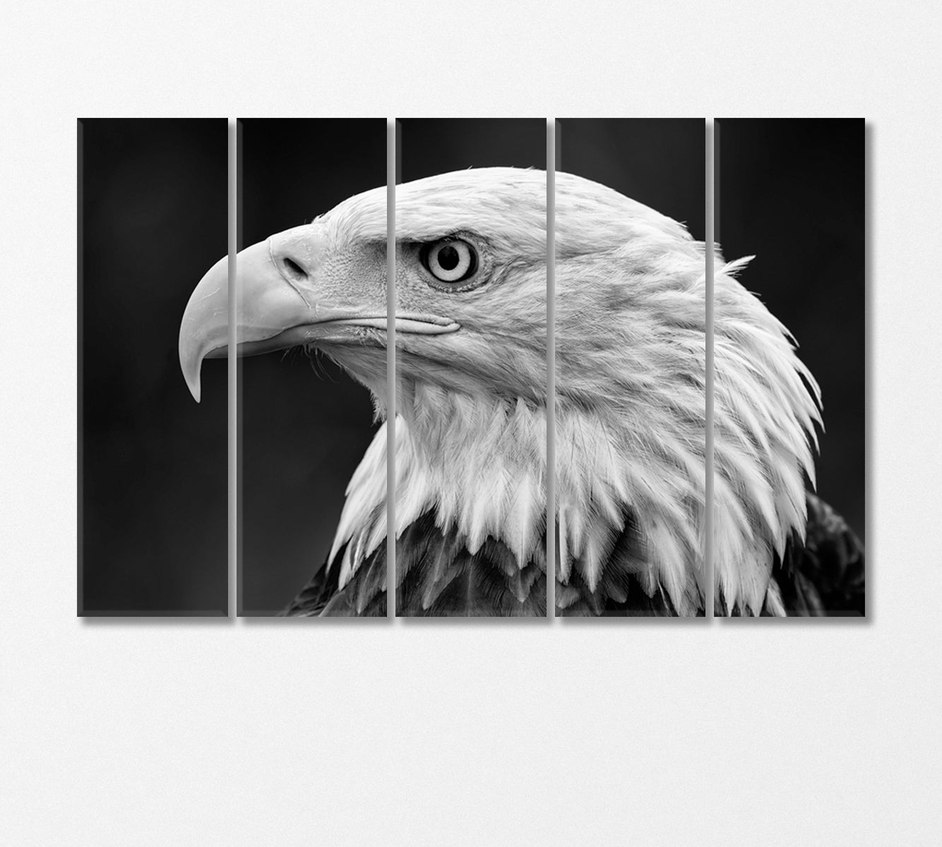 Bald Eagle Portrait in Black and White Canvas Print-Canvas Print-CetArt-5 Panels-36x24 inches-CetArt