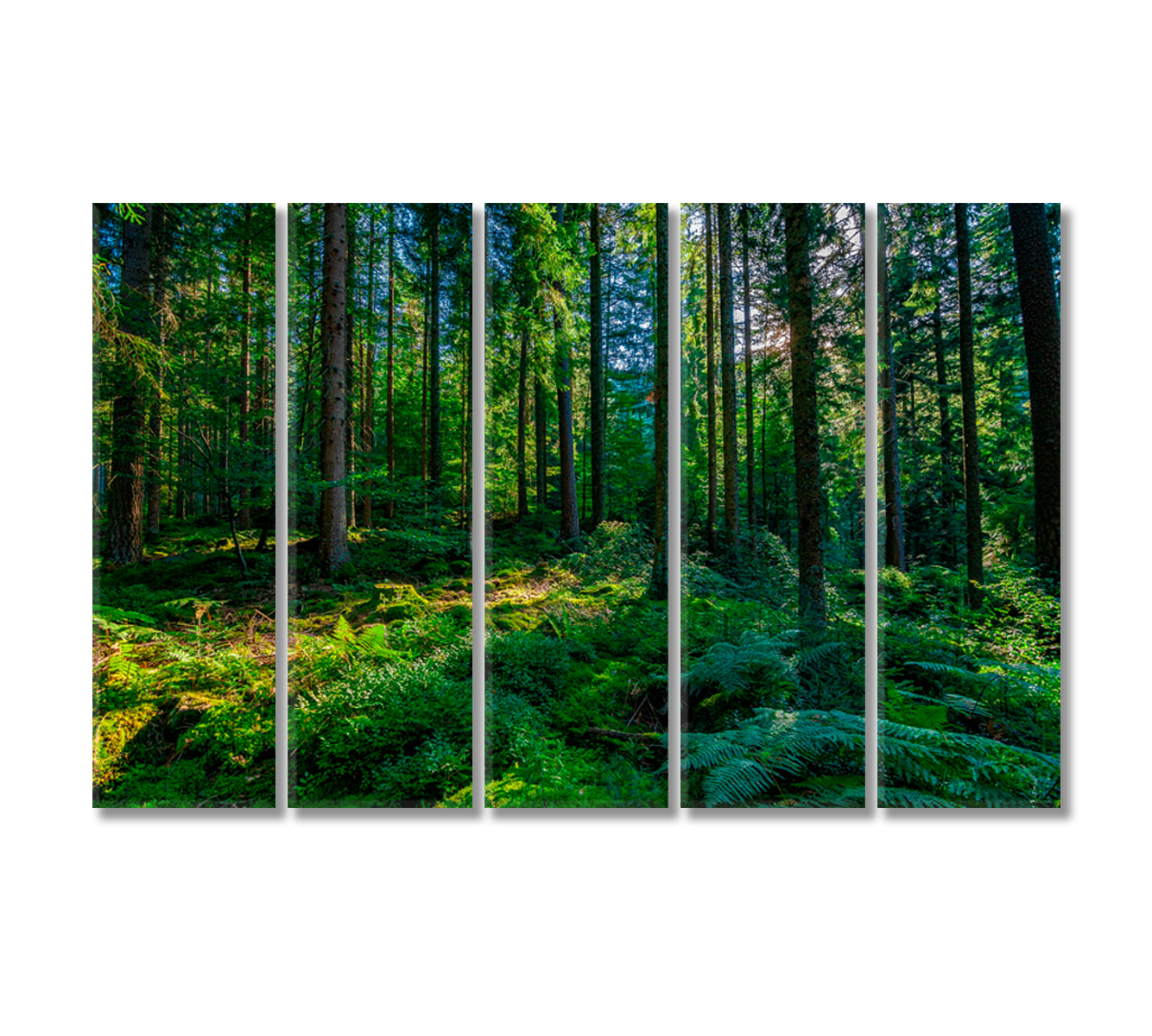 Green Black Forest Schwarzwald Germany Canvas Print-Canvas Print-CetArt-5 Panels-36x24 inches-CetArt