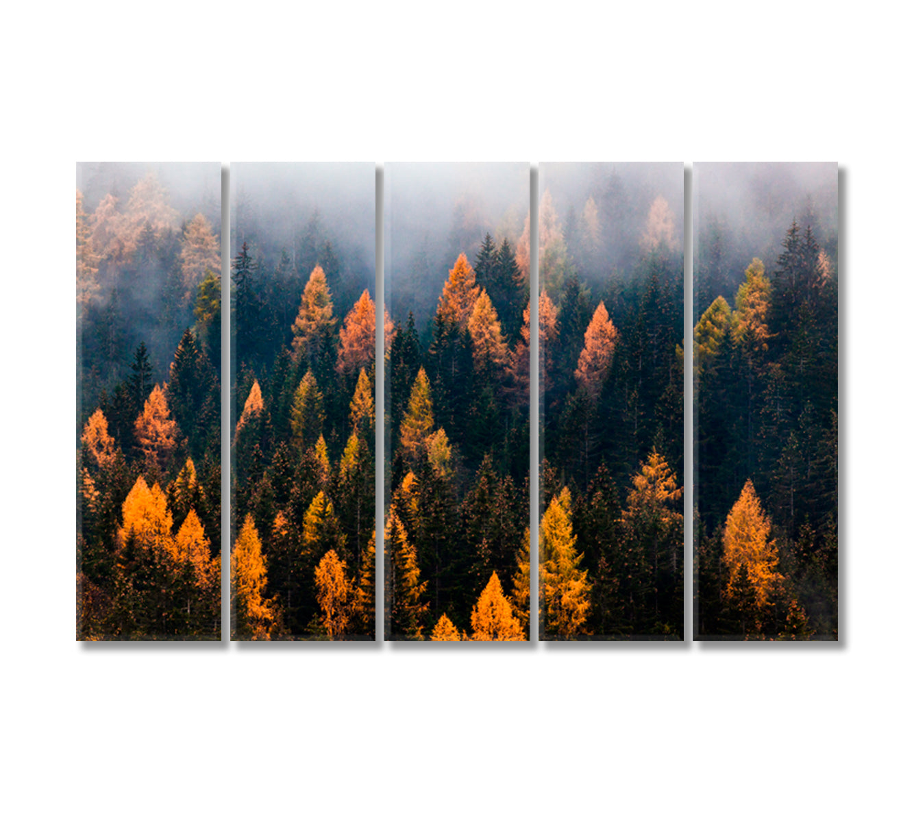 Autumn Forest in Fog Canvas Print-Canvas Print-CetArt-5 Panels-36x24 inches-CetArt