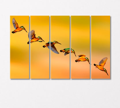Сolorful Birds Kingfishers Canvas Print-Canvas Print-CetArt-5 Panels-36x24 inches-CetArt
