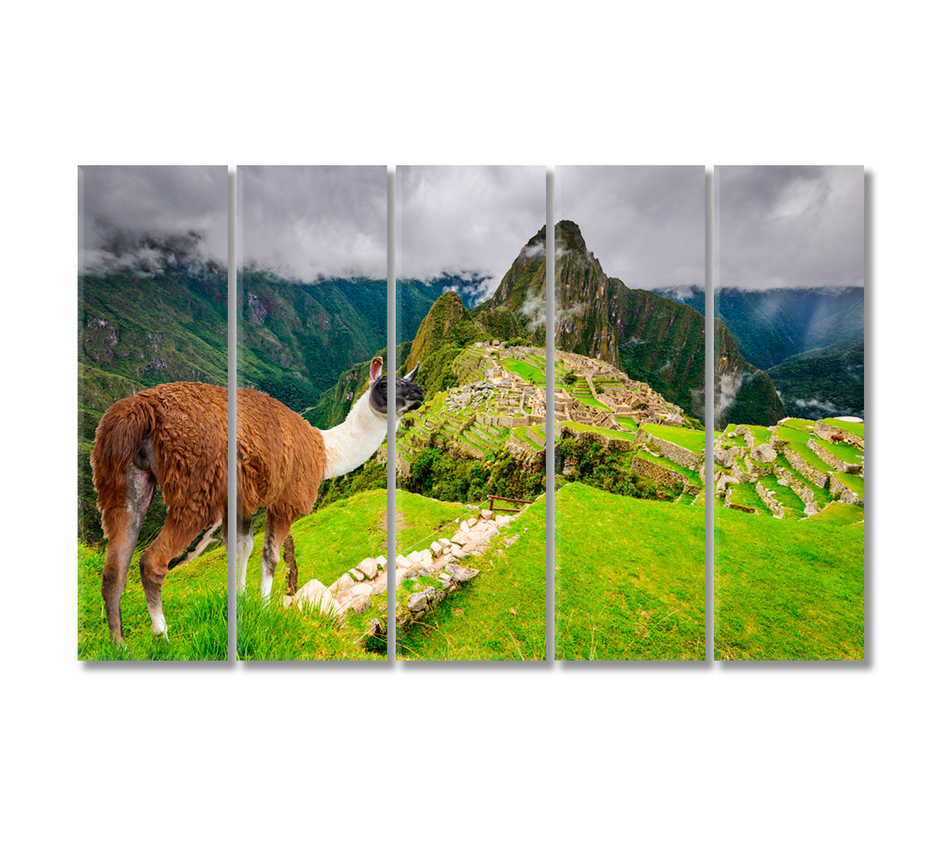 Machu Picchu Ruins of Inca Empire City Peru Canvas Print-Canvas Print-CetArt-5 Panels-36x24 inches-CetArt