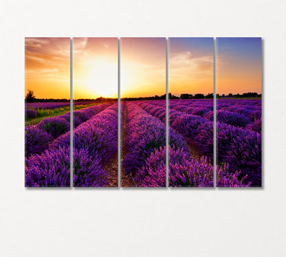 Lavender Field at Sunset Provence France Canvas Print-Canvas Print-CetArt-5 Panels-36x24 inches-CetArt