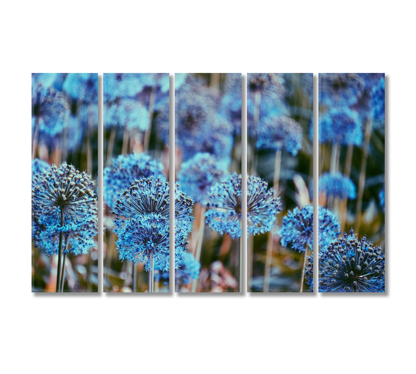 Alliums Flowers Canvas Print-Canvas Print-CetArt-5 Panels-36x24 inches-CetArt