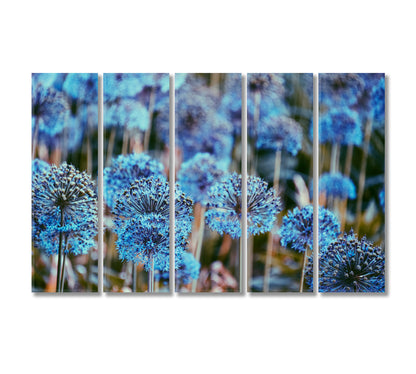 Alliums Flowers Canvas Print-Canvas Print-CetArt-5 Panels-36x24 inches-CetArt