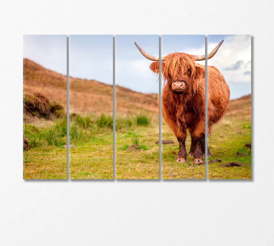 Five-panel Highland cow canvas set — wide format for long sofas