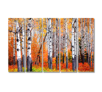 Aspen Trees in Banff National Park in Autumn Canvas Print-Canvas Print-CetArt-5 Panels-36x24 inches-CetArt