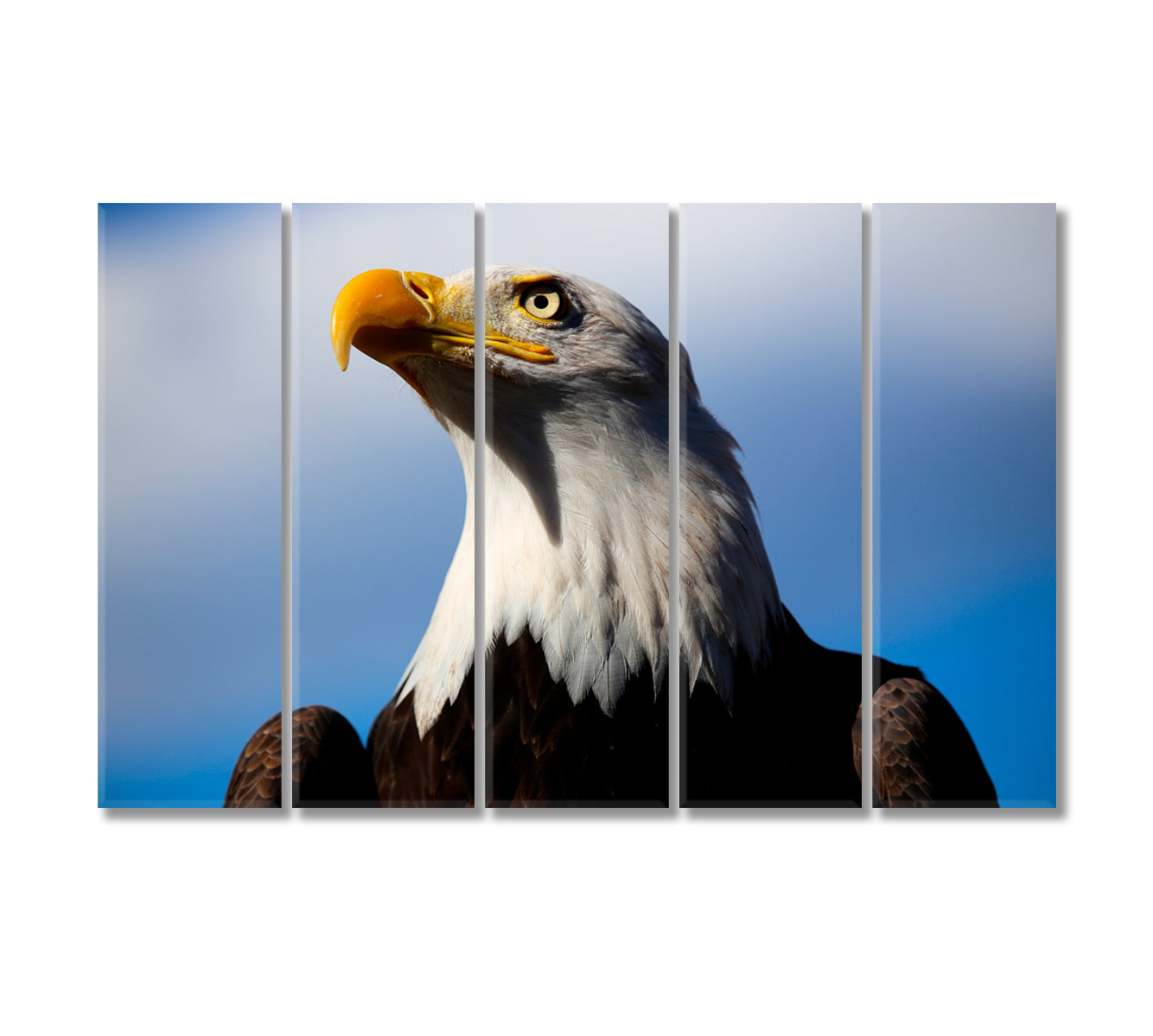 Powerful American Bald Eagle Canvas Print-Canvas Print-CetArt-5 Panels-36x24 inches-CetArt